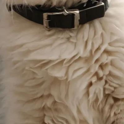 chat with ai character: Hax 