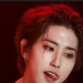 chat with ai character: stray kids