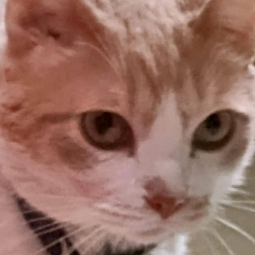 chat with ai character: scp