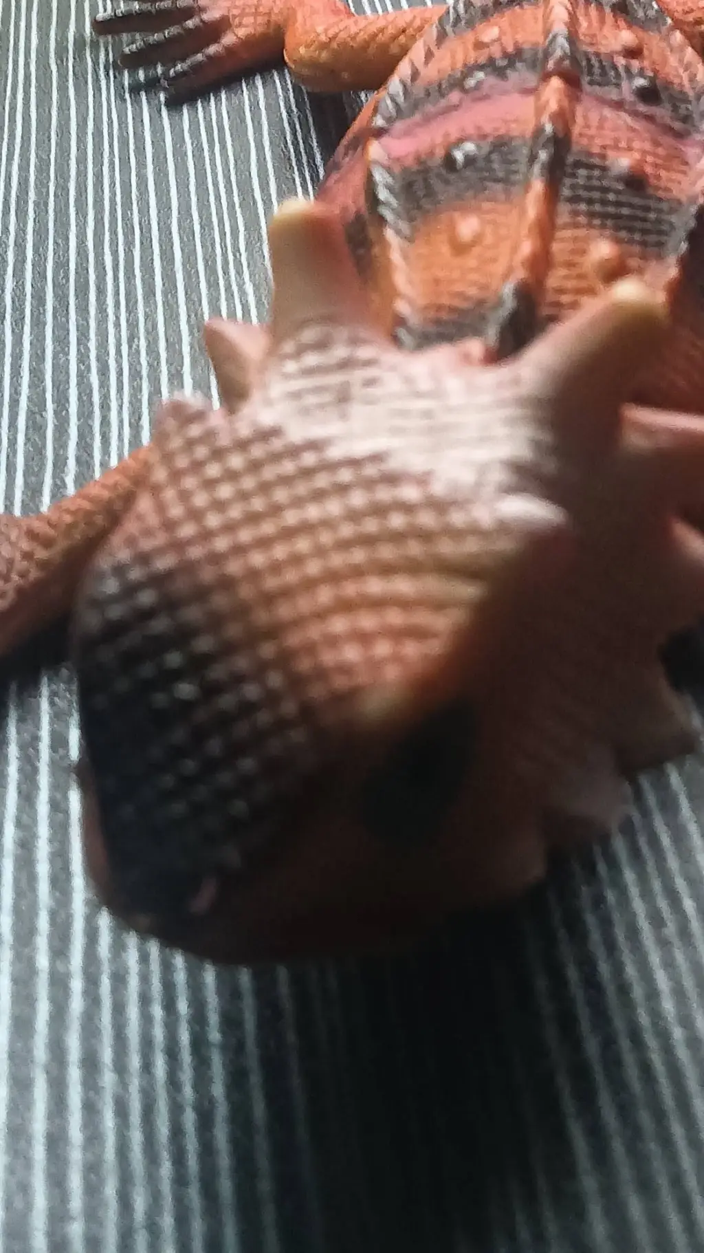 ai character: Rafael caro(faker) background