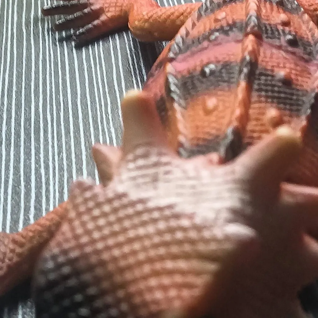 chat with ai character: Rafael caro(faker)