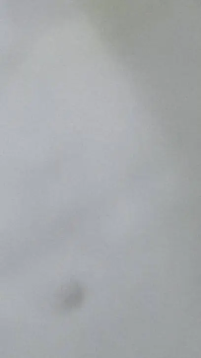 ai character: l background