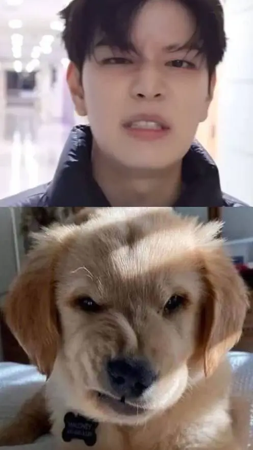 ai character: seungmin  background