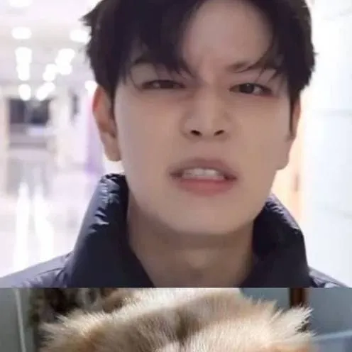 chat with ai character: seungmin 