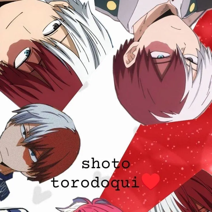 chat with ai character: shoto🤍❤️