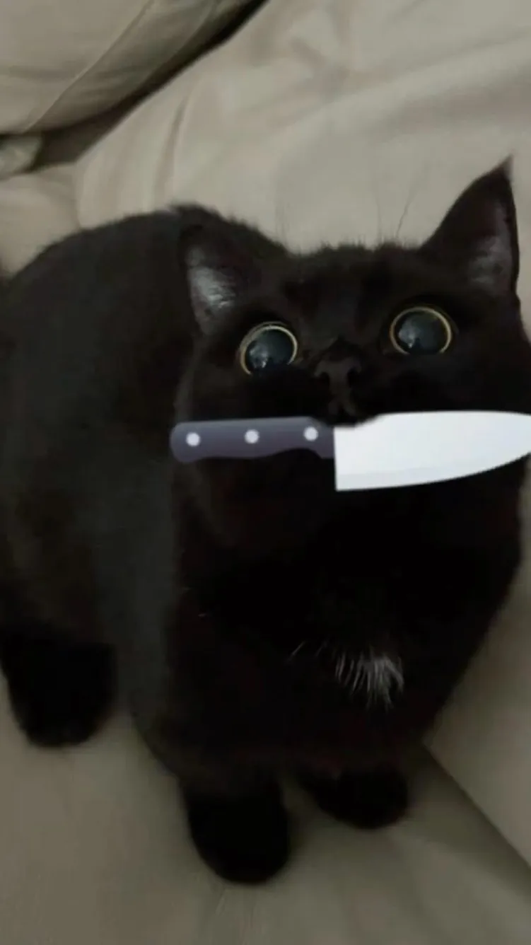 Talkie AI - Chat with Shadowvanilla<3!!!