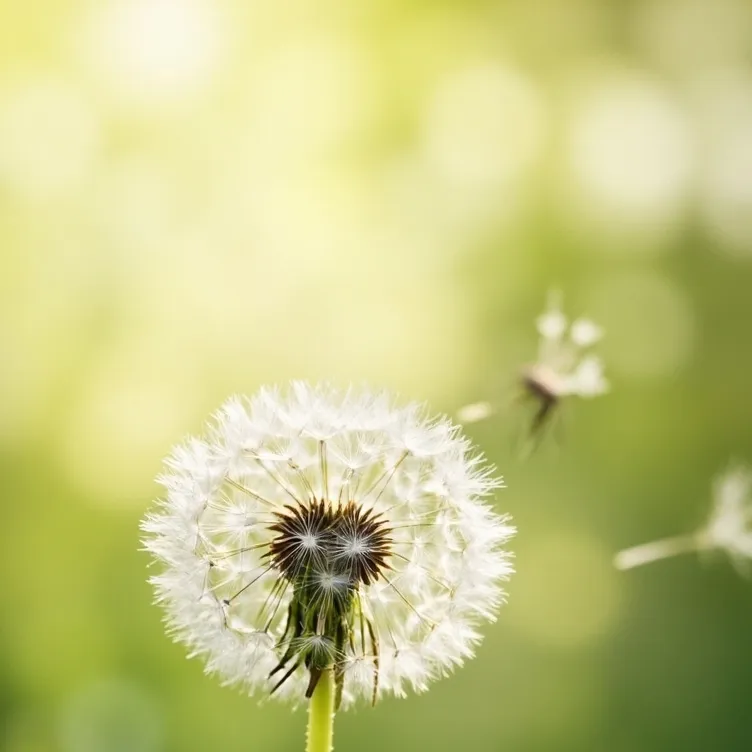 chat with ai character: Dandys world