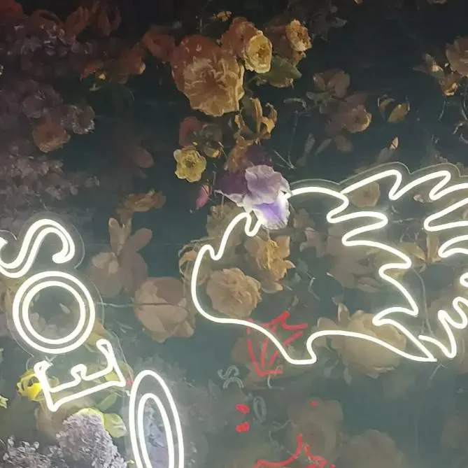 chat with ai character: leo