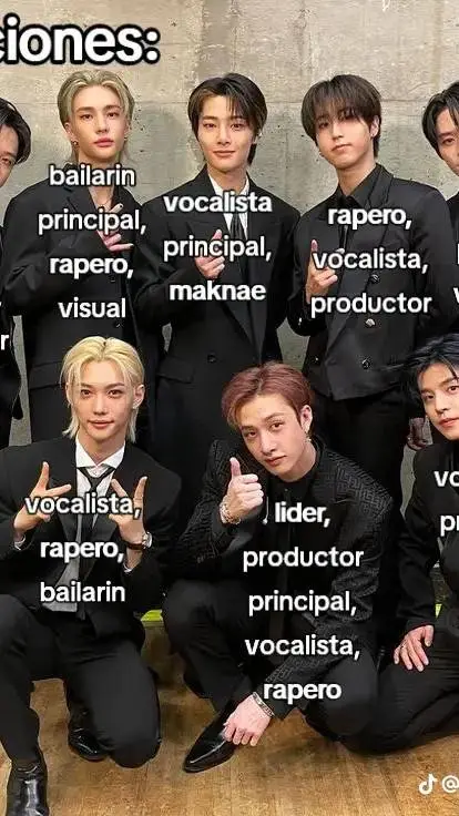 ai character: stray kids  background
