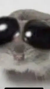 ai character: Sad Hamster background