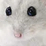 chat with ai character: Creepypasta Cake