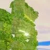 chat with ai character: Lichen