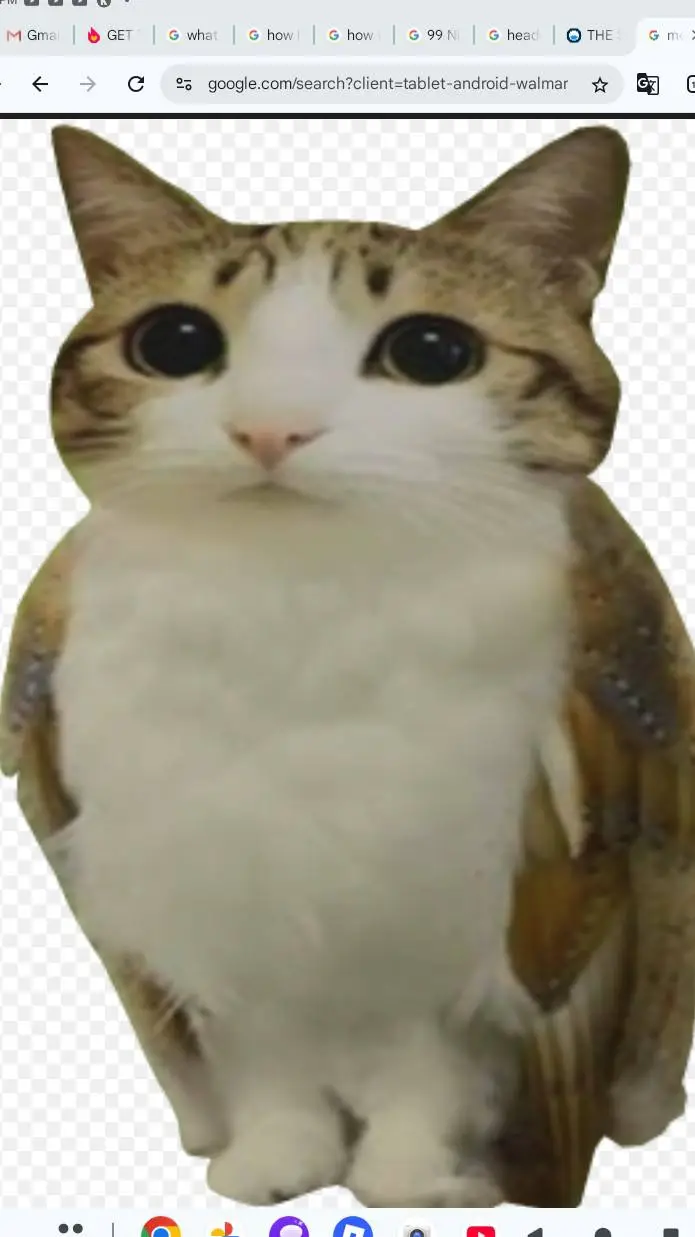 ai character: meowl background