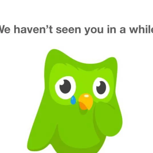 chat with ai character: duolingo 