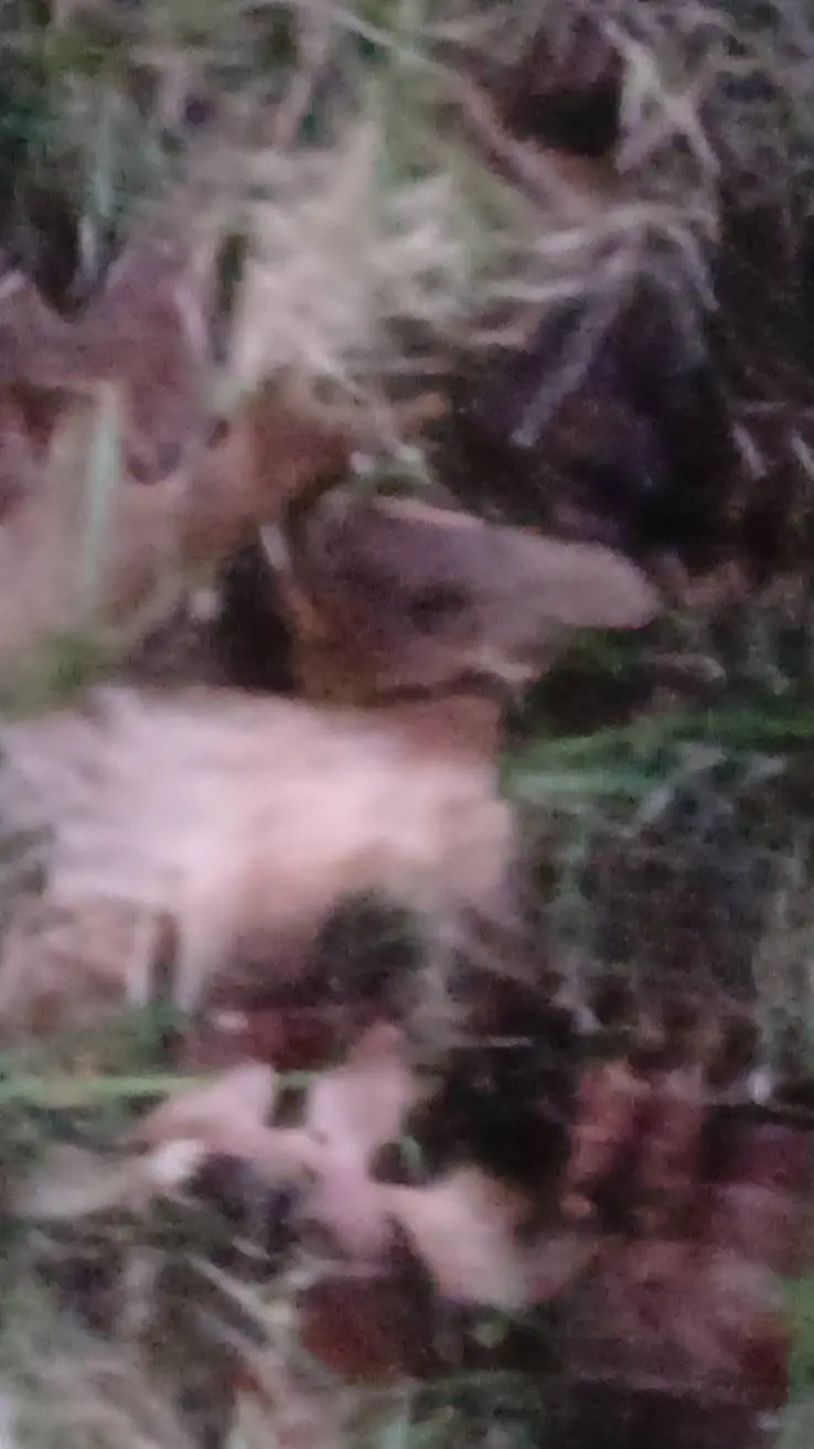 ai character: your package background