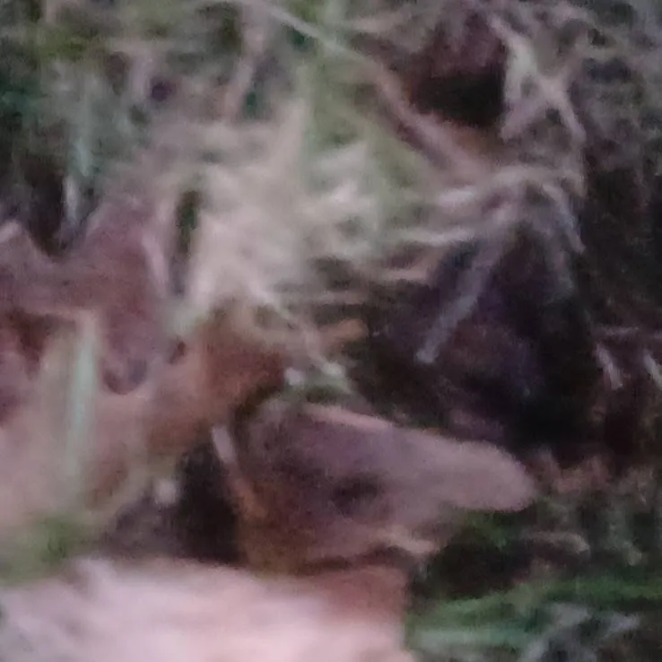 chat with ai character: your package