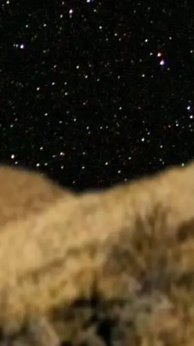 ai character: ch but your a baby background