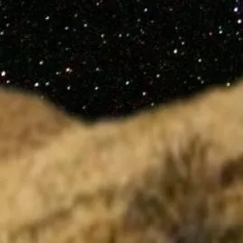 chat with ai character: ch but your a baby