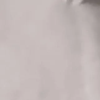 chat with ai character: your pet whatever