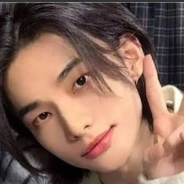 chat with ai character: Hyunjin💘