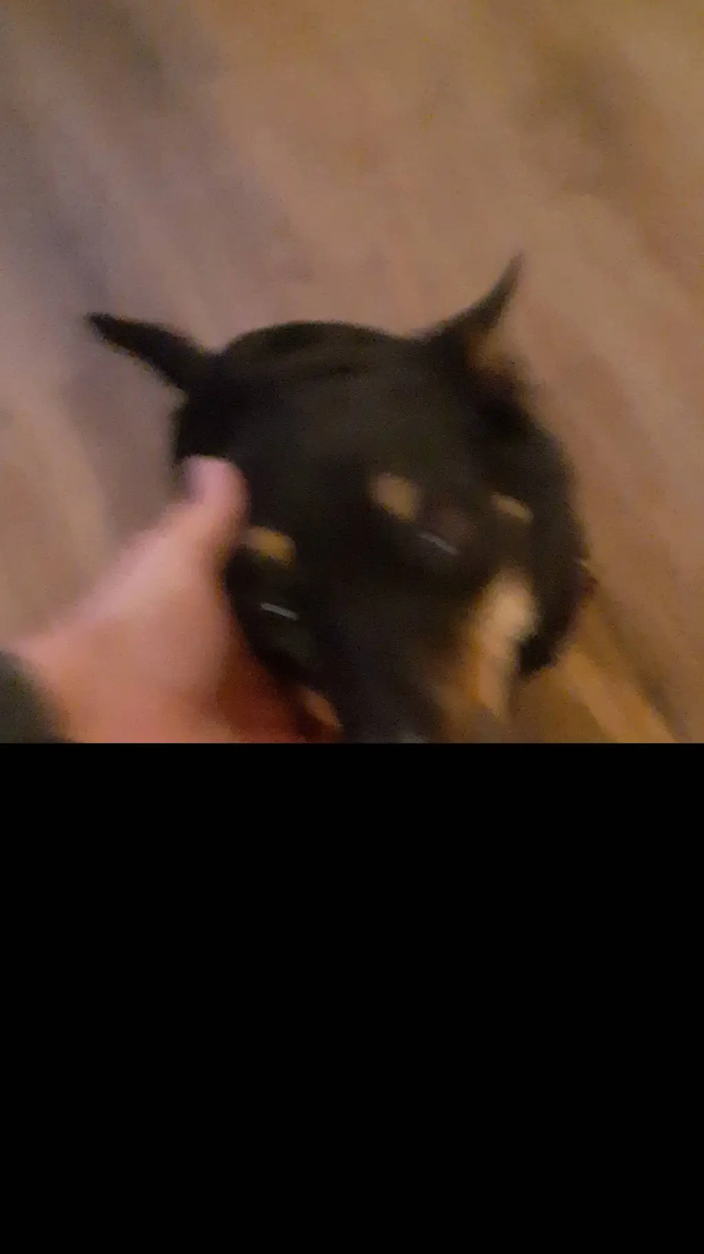 ai character: WOF PRIDE MONTH  background