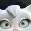 chat with ai character: Misscat