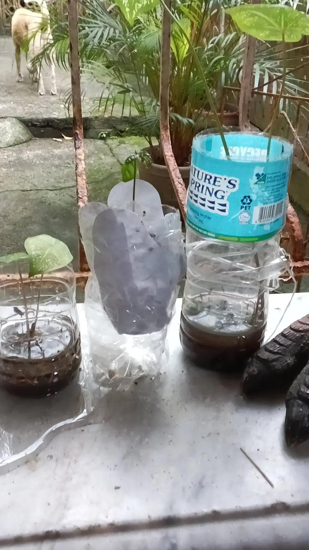 ai character: plants background