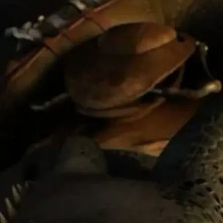 chat with ai character: toothless