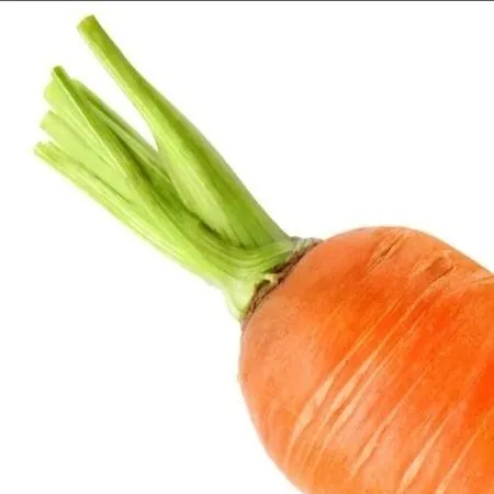 chat with ai character: Idk