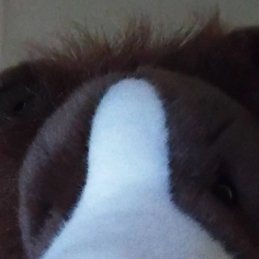 chat with ai character: Fudge The dog