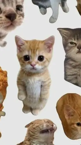ai character: котики background