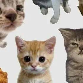 chat with ai character: котики