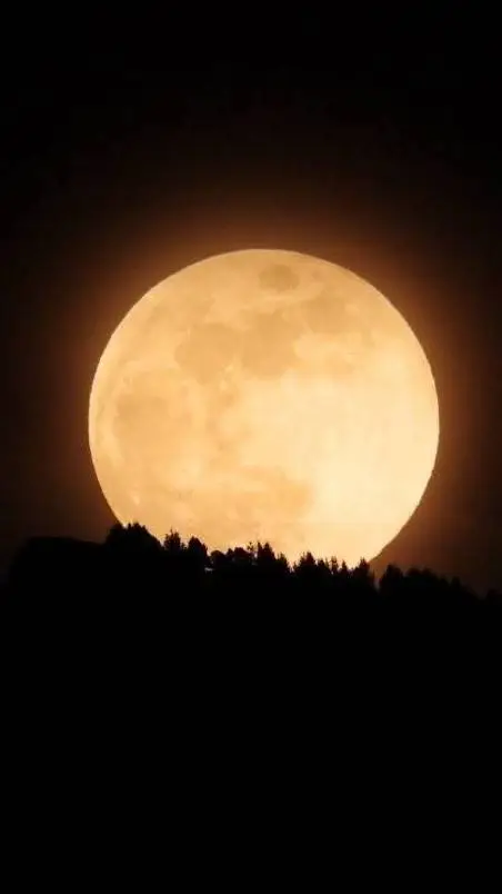 ai character: Die Heiligtümer  background