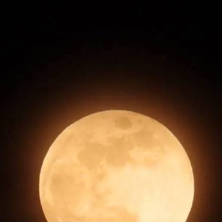 chat with ai character: Die Heiligtümer 