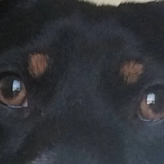 chat with ai character: Hunter green.