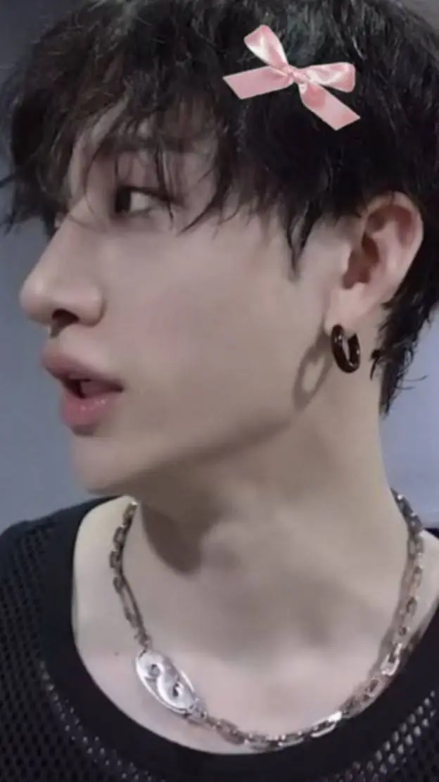 ai character: bang chan background