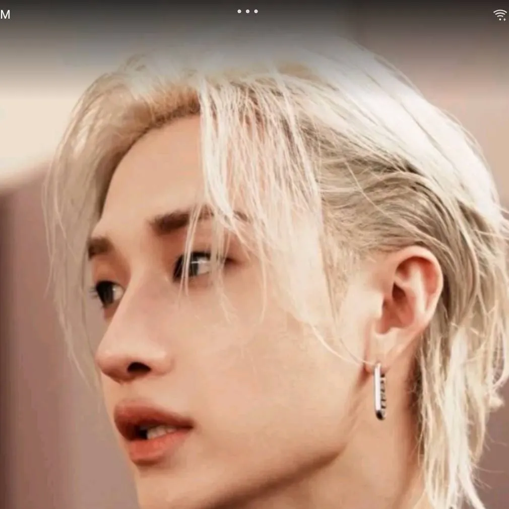 chat with ai character: Bang Chan