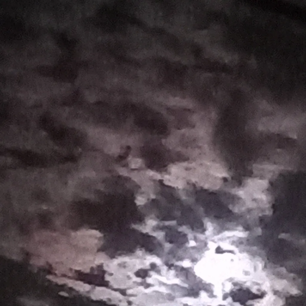 chat with ai character: ☆M!Dn!ght♡