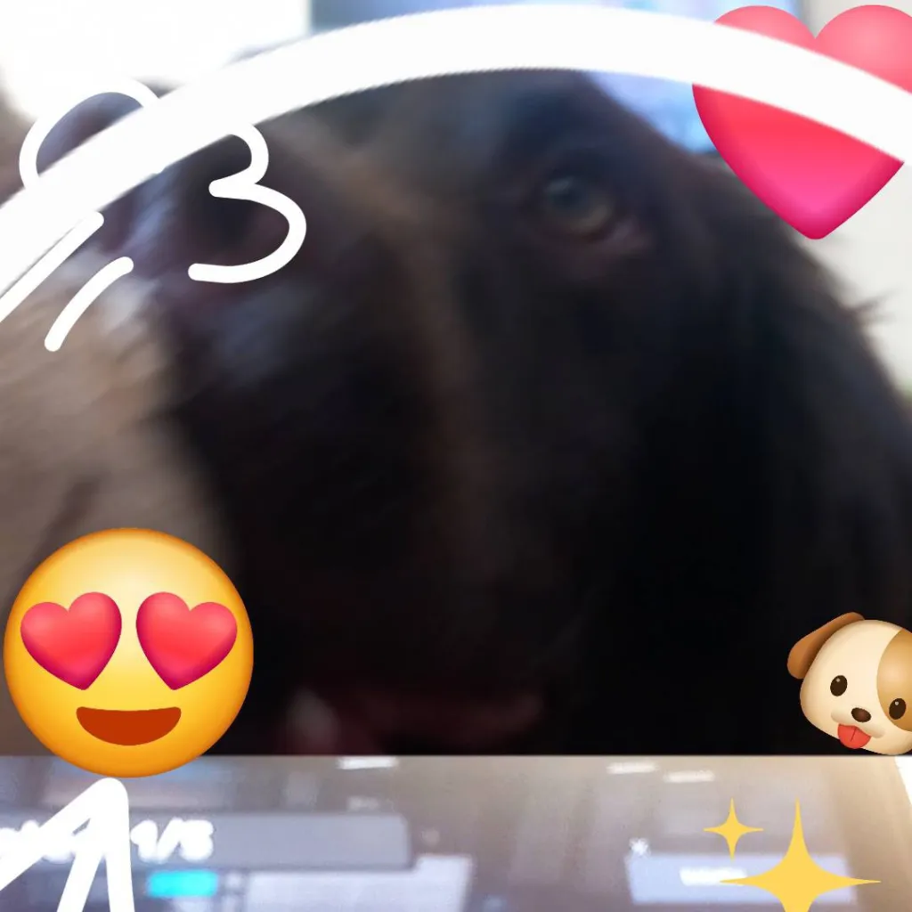 chat with ai character: MY DAWG BONNIE