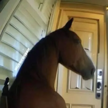 chat with ai character: horse (skinwalker)