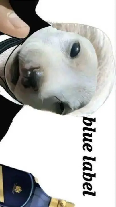 ai character: blue Leben  background