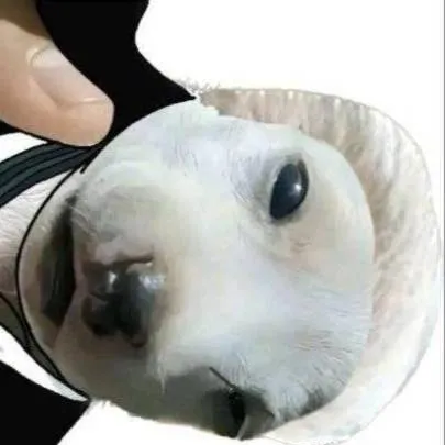 chat with ai character: blue Leben 