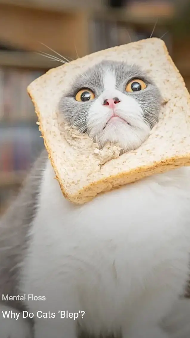 ai character:   trick  background