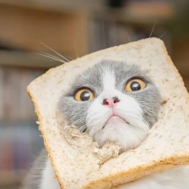 chat with ai character:   trick 