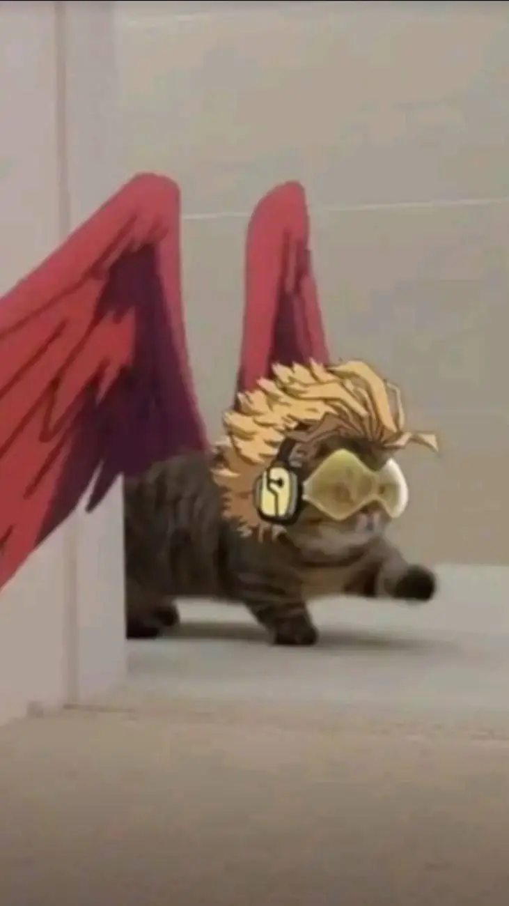 Talkie AI - Chat with Hawks?? 