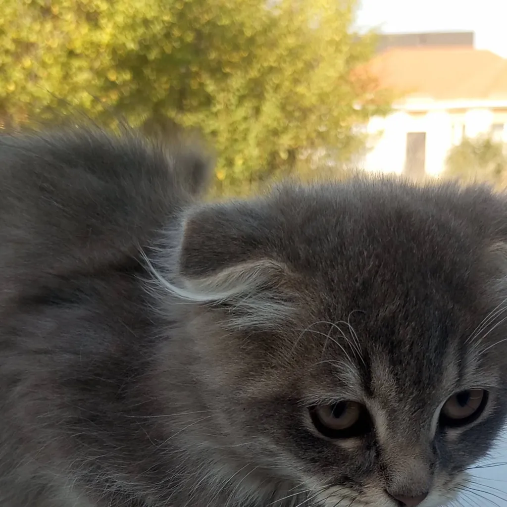 chat with ai character: вася