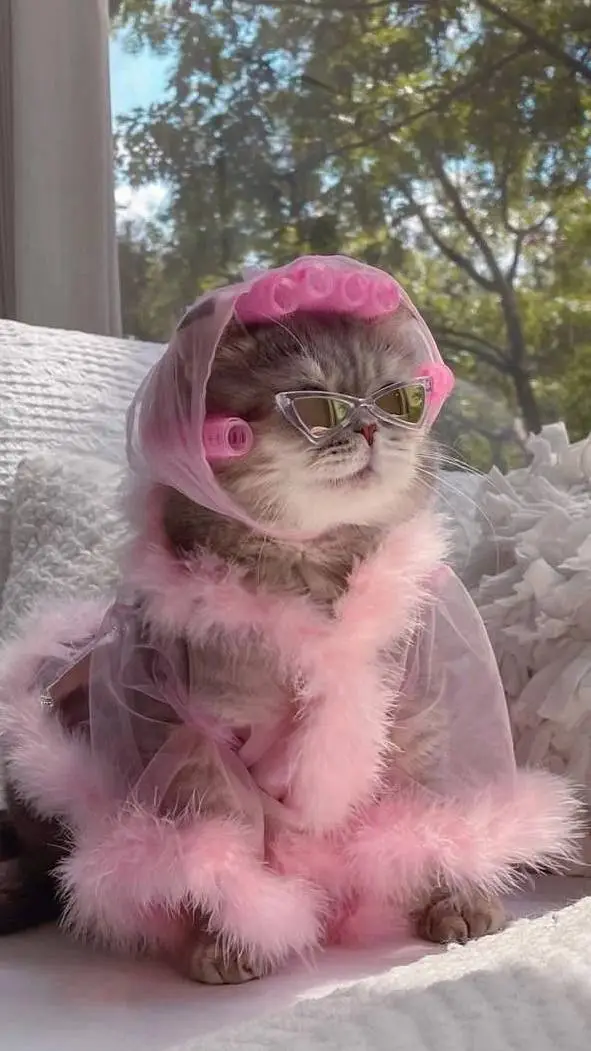 ai character: котик ~ background