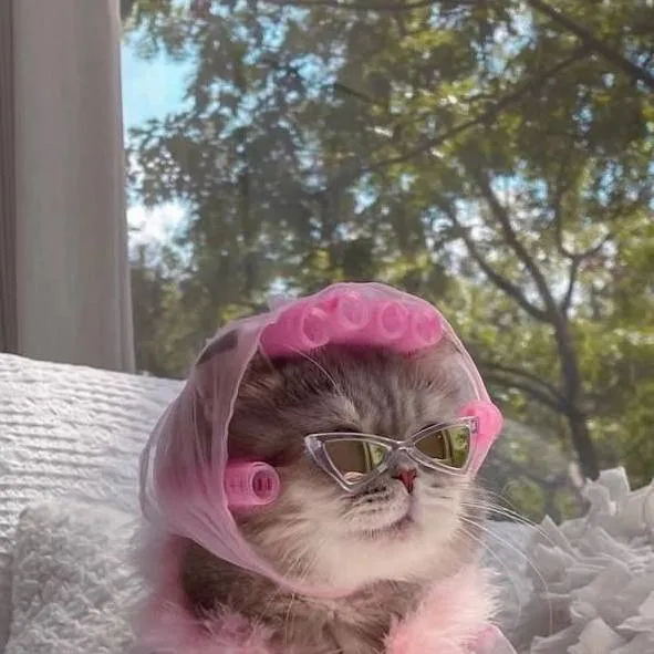 chat with ai character: котик ~