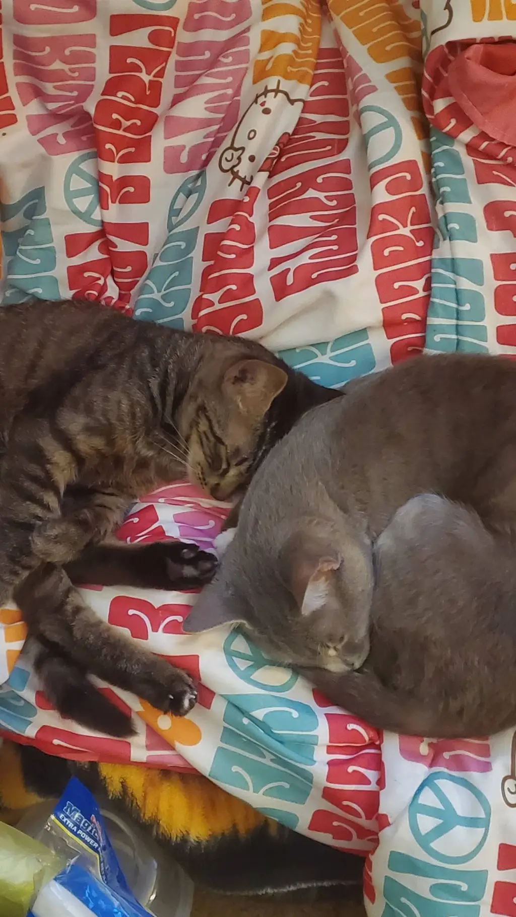 ai character: Cuddling kitties background
