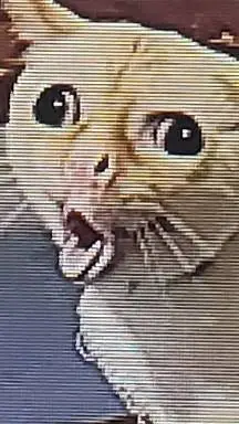 ai character: kitty(2) background